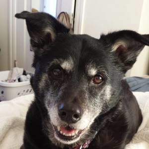 Meet your Posher, Cecily